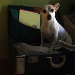 You ain't never goin' nowhere again