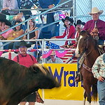 Wayne (not Harry) Vold watching his stock perform - Parada del Sol Rodeo