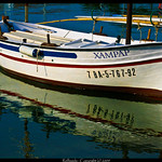 Reflected in the starboard - Reflejada en estribor Explorer 26 MAR 2009 #110