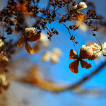 There are two mistakes one can make along the road to truth...not going all the way, and not starting.