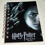 Half Blood Prince Blank Book (Hermione/Slughorn)
