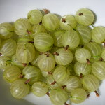 gooseberries
