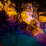 Two kissing fish and a cheeky monkey