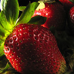 strawberry field forever (explore#273)