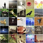 My Favs for the week