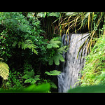 welcome to the jungle ♬♪♫