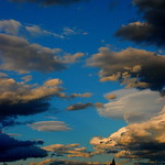 Waiting for the night show