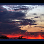 ~~~Nature's Burning Love~~~