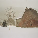 Ellicottville Barns