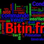 Bitin by Wordle