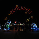 National Zoo Light Show