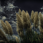 2013-251 (09-08) Earth and Sky