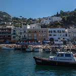 Capri Harbour