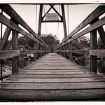 The Bridge