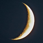 A big yellow midsummer moon ....