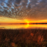 Seagrass Sunrise in St Augustine