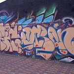 tortuga hace full time