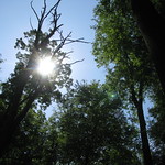 2012 - Cantwell Cliffs 034