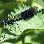 Bye for now; must fly!