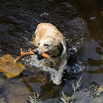 Hardcastle Crags West Yorkshire - July 2015