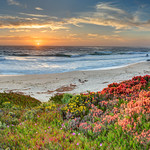 Garrapata State Park Beach - Big Sur, CA