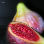 fig
