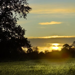 Sunset at Farleigh Wallop