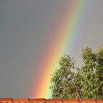 The Calm after the Storm