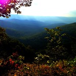 Shenandoah