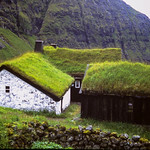Faroes