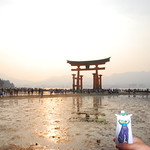 Miyajima