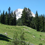 Mt. Hood from the Timberline Trail in Mt. Hood Meadows