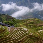 Longji Rice Terrace 2