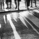 Crossing Shadows