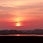 Marshland sunset