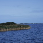 2008_09_07_c Lyngvig Havn