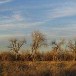 Crown Hill Xmas Eve 134