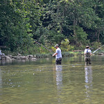 North Fork Shenandoah - July 25