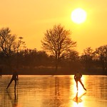 Skating into the sunset knowing it's their last day of ice