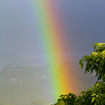 Morning rainbow