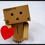 No beauty shines brighter than that of a good heart.