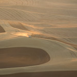 Harvest Truck Freeway