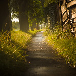 Lights after the rain