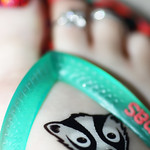 Day 223 of 365 - Year 4