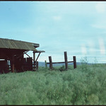 Fujichrome Velvia 100