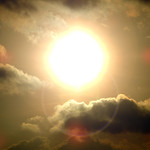 DSCN1639 Strong Afternoon Sun