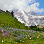 Meadows on the mountain