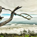 Mount Agung Adventure