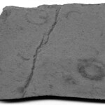 Grypania spiralis (Negaunee Iron-Formation, 2.11 Ga or 1.874 Ga; Empire Mine, SE of town of Ishpeming, Marquette County, Upper Peninsula of Michigan, USA) 01
