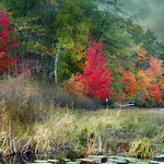 The Specter of Autumn